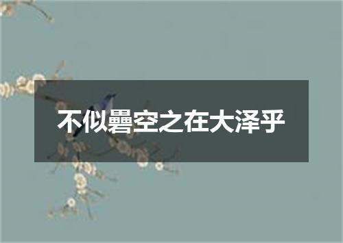 不似礨空之在大泽乎