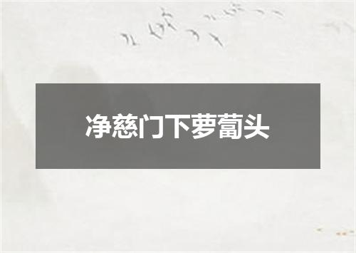 净慈门下萝蔔头