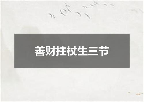 善财拄杖生三节