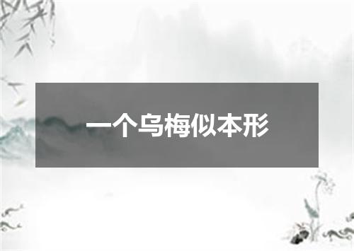 一个乌梅似本形