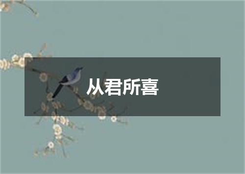 从君所喜