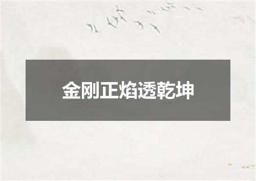 金刚正焰透乾坤
