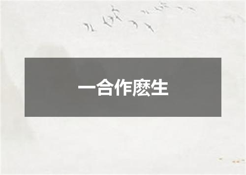 一合作麽生