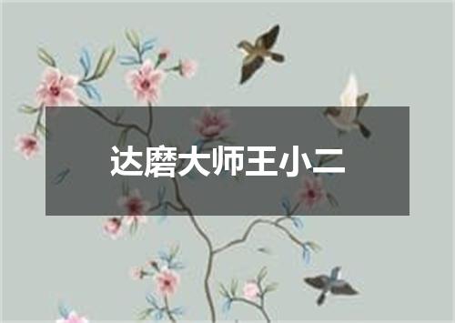 达磨大师王小二
