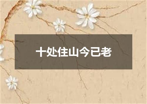 十处住山今已老