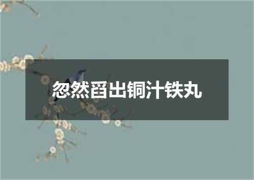 忽然舀出铜汁铁丸