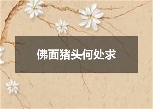 佛面猪头何处求