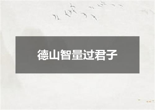 德山智量过君子