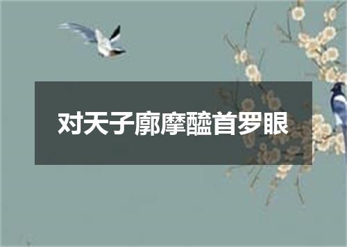 对天子廓摩醯首罗眼