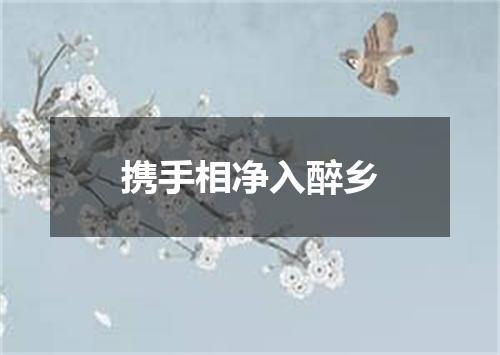 携手相净入醉乡