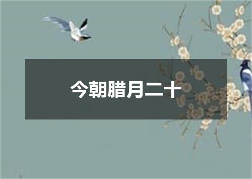 今朝腊月二十