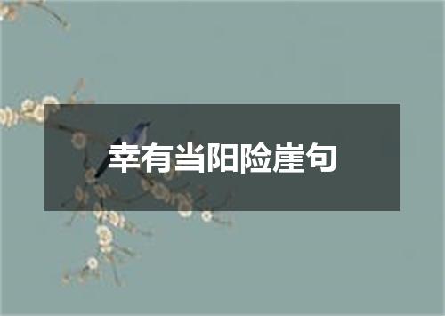 幸有当阳险崖句