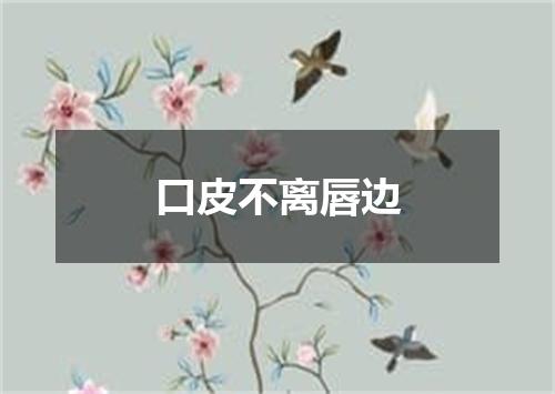 口皮不离唇边
