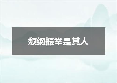 颓纲振举是其人