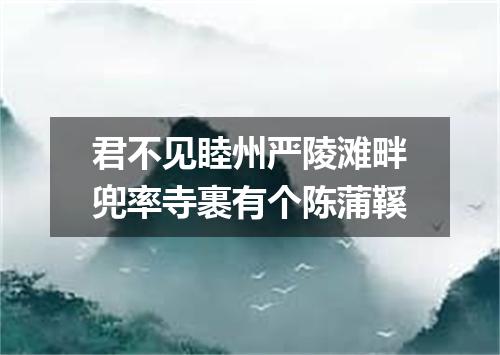 君不见睦州严陵滩畔兜率寺裹有个陈蒲鞵