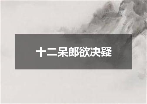 十二呆郎欲决疑