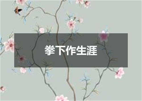 拳下作生涯