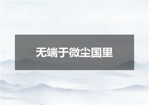 无端于微尘国里