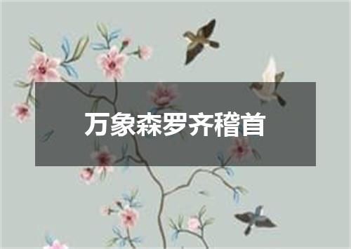 万象森罗齐稽首