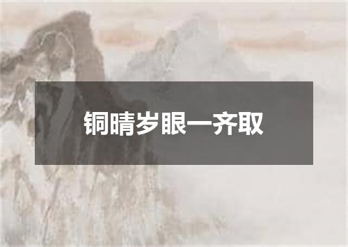 铜晴岁眼一齐取