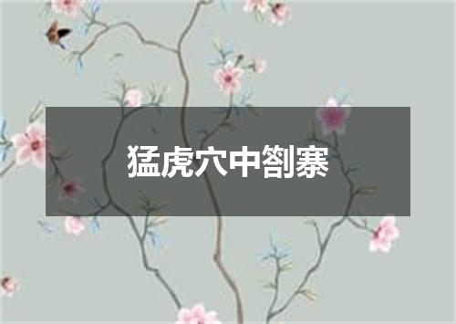 猛虎穴中劄寨
