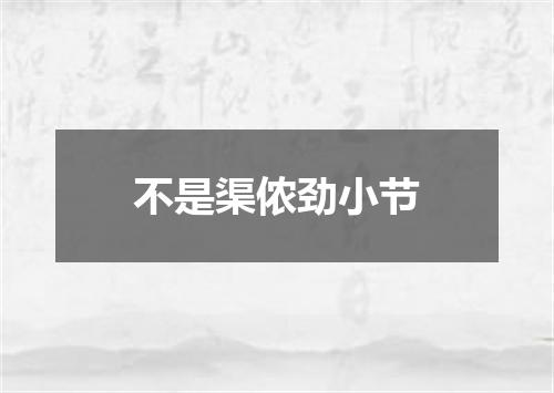 不是渠侬劲小节