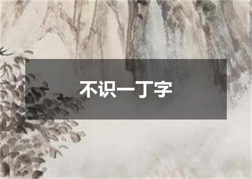 不识一丁字