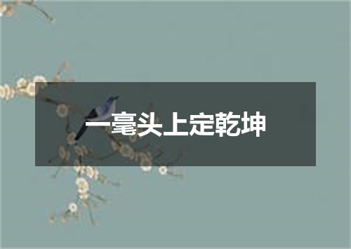 一毫头上定乾坤