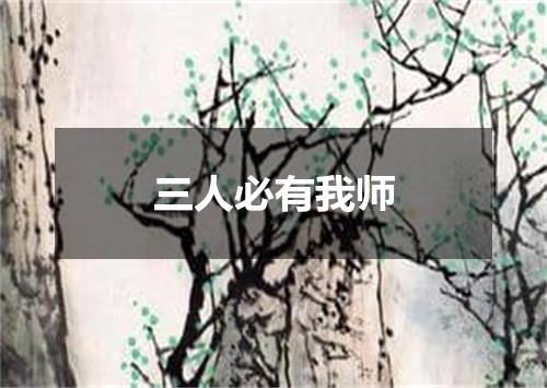 三人必有我师