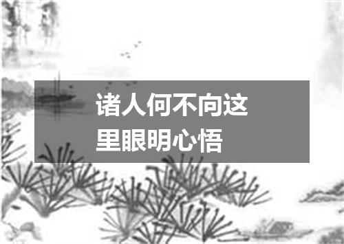 诸人何不向这里眼明心悟