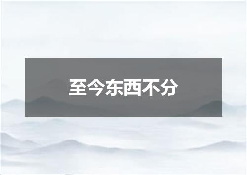 至今东西不分