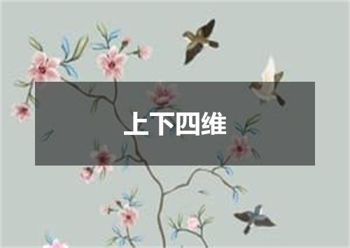 上下四维
