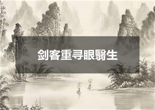剑客重寻眼翳生