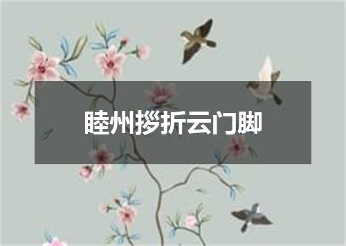 睦州拶折云门脚