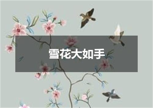 雪花大如手