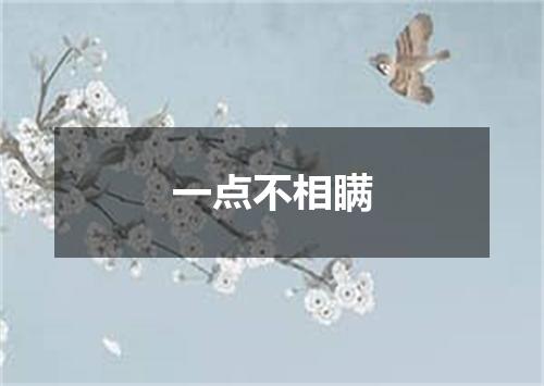 一点不相瞒