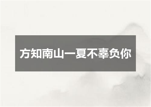 方知南山一夏不辜负你