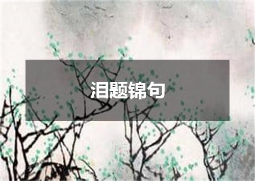 泪题锦句