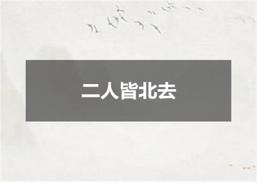 二人皆北去