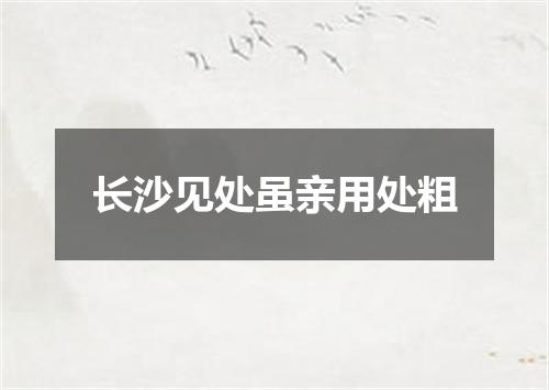 长沙见处虽亲用处粗