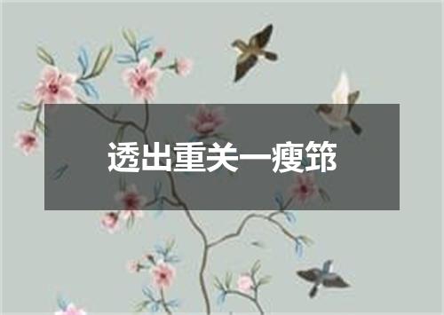 透出重关一瘦筇