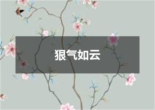 狠气如云