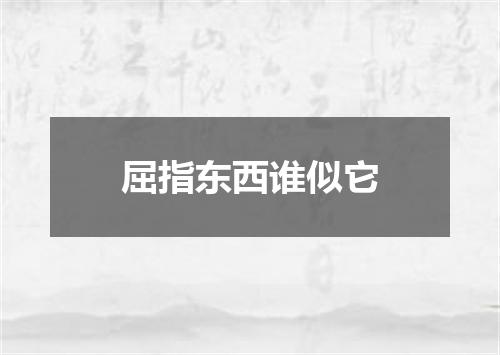 屈指东西谁似它