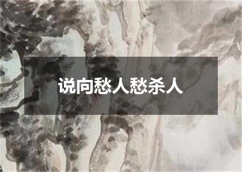 说向愁人愁杀人