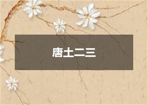 唐土二三