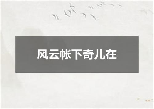 风云帐下奇儿在