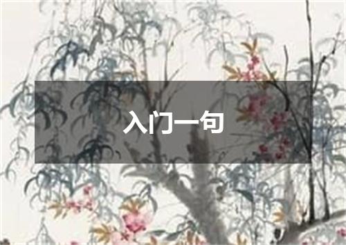 入门一句