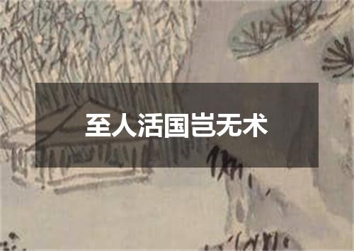 至人活国岂无术