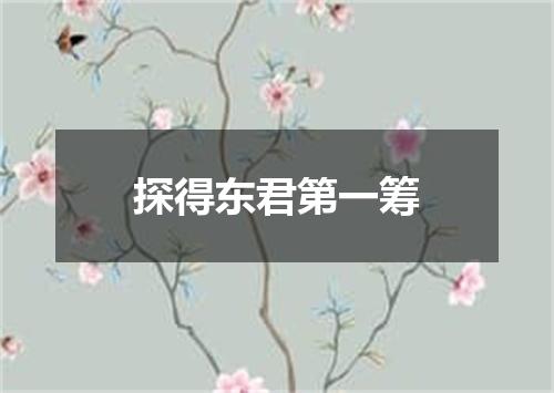 探得东君第一筹