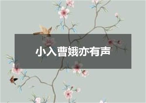 小入曹娥亦有声